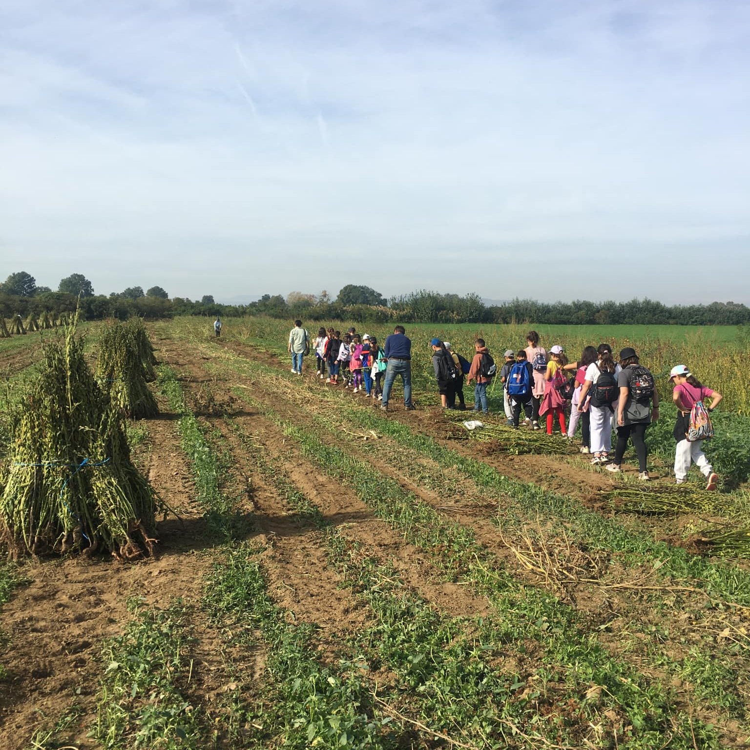 462887343 1069899745150808 8033005018051780173 n