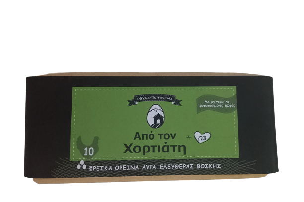 10αδαR removebg preview