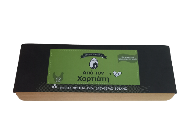 12αδαR removebg preview