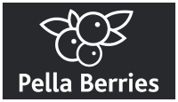 Pellaberries superfood